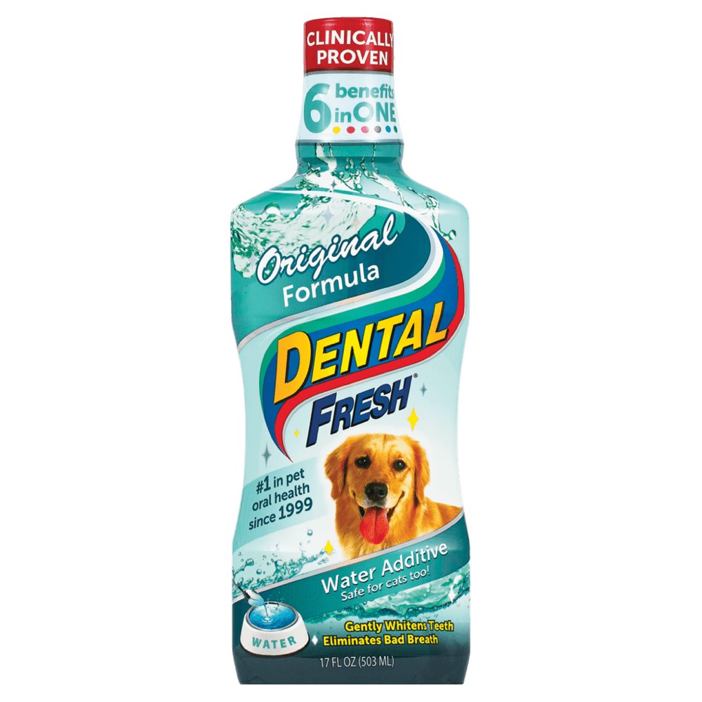 Synergy Labs Dental Fresh Original Water Additive 17oz